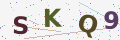 验证码